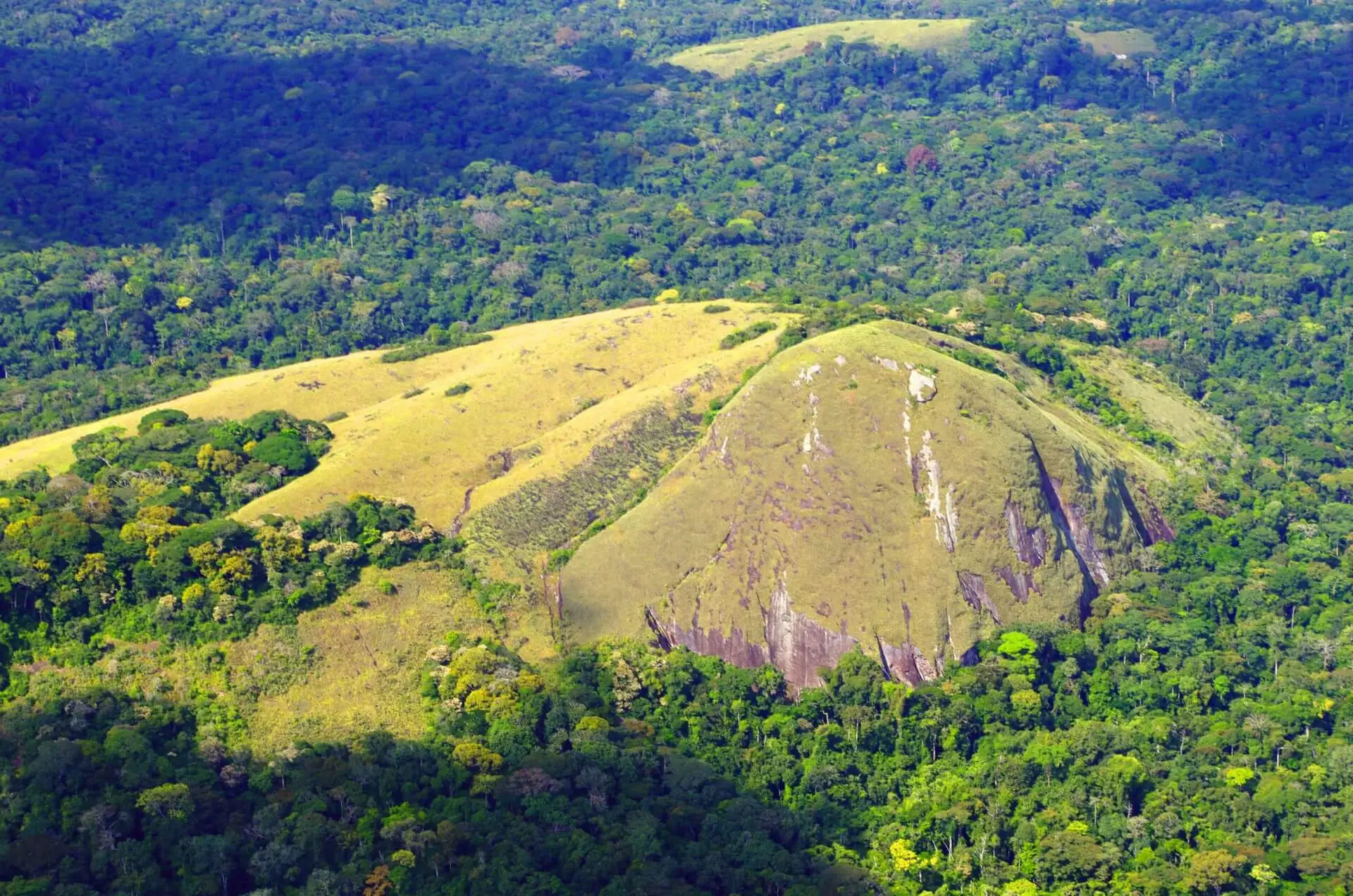 Forêt équatoriale Gabon